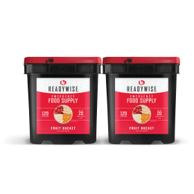 240 Serving Freeze-Dried Fruit Bucket Pack – Dual 120 Serving