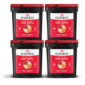 480 Serving Freeze-Dried Fruit Bucket Pack – Four 120 Serving
