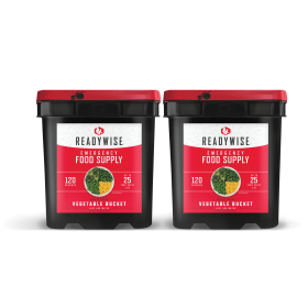 240 Serving Freeze-Dried Vegetable Bucket  – Two 120 Servings